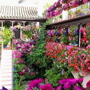 Appartement Puerta A La Mezquita, Córdoba