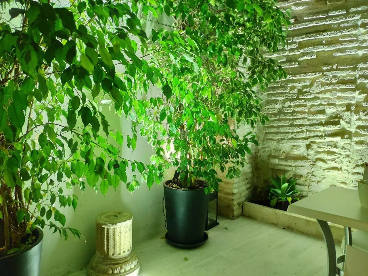 Apartamentos Cordoba Atrium 0*,  Spain