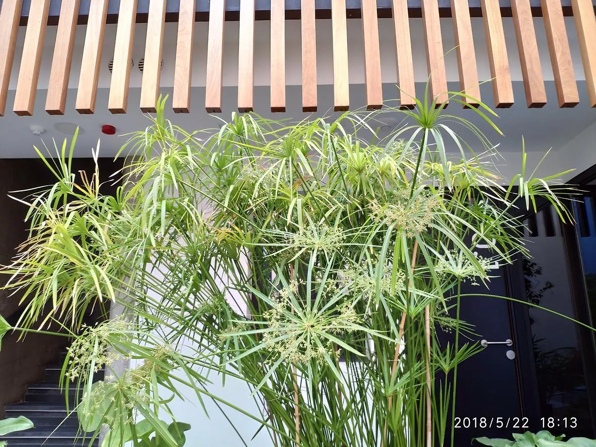 Apartamentos Cordoba Atrium